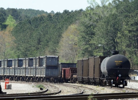 hypoallergic-riding-the-poop-train